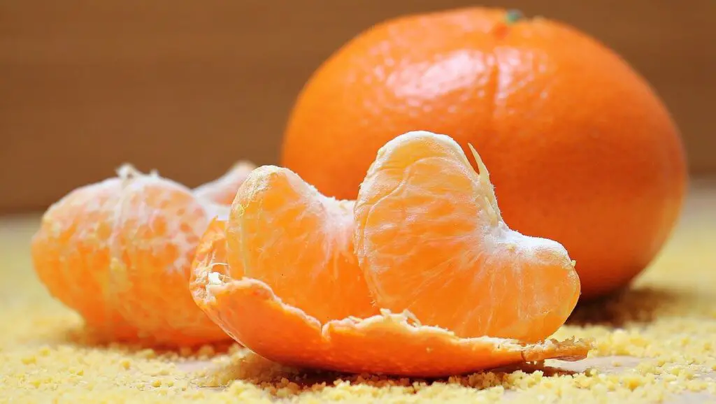 Can conures eat oranges