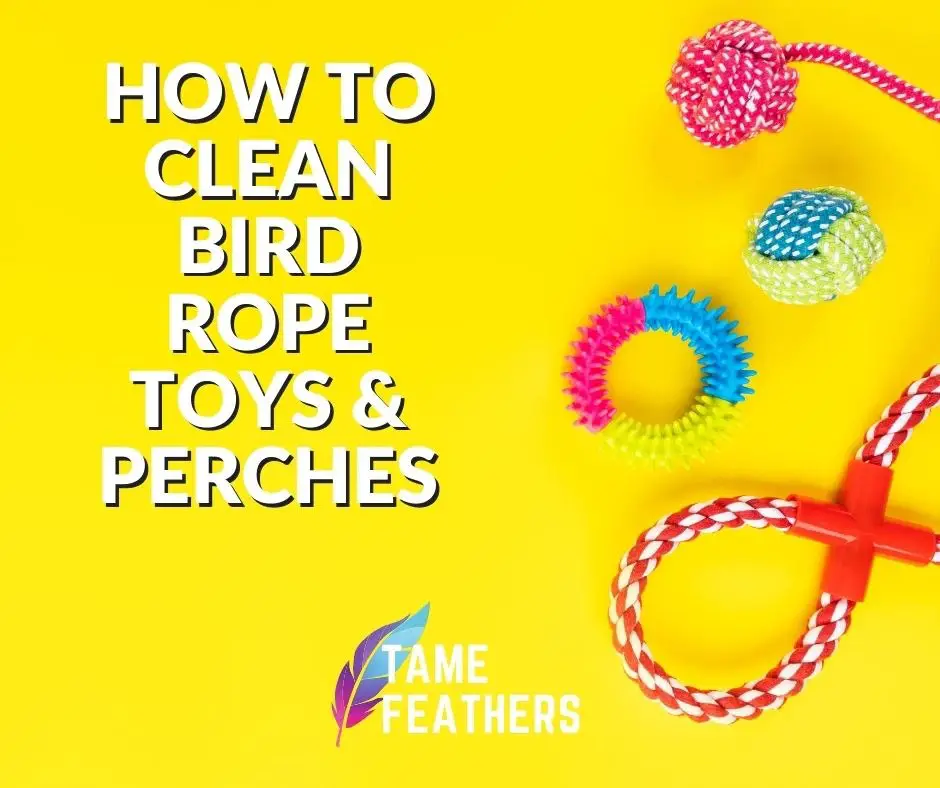 How to Clean Bird Rope Toys