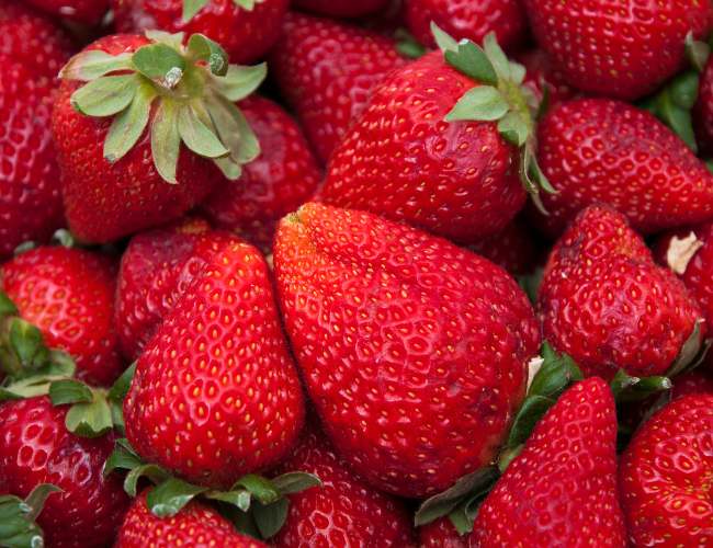 Nutritional Benefits Of strawberries For Finches