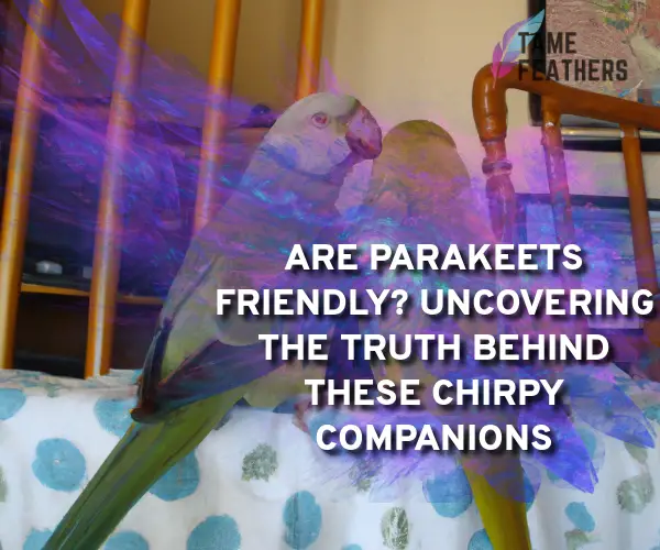 are parakeets friendly