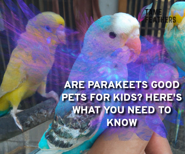 are parakeets good pets for kids