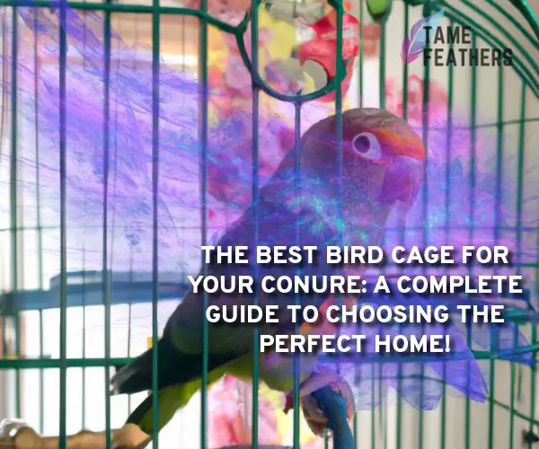 best bird cage for conure