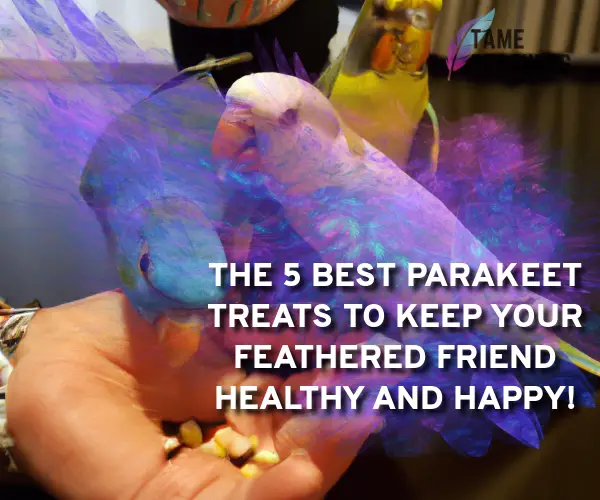best parakeet treats