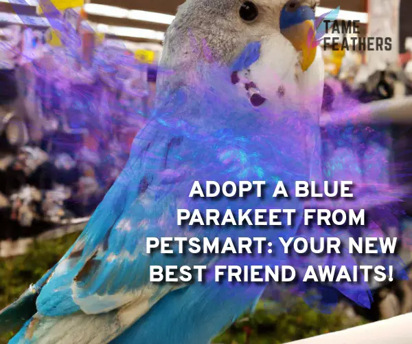 blue parakeet petsmart