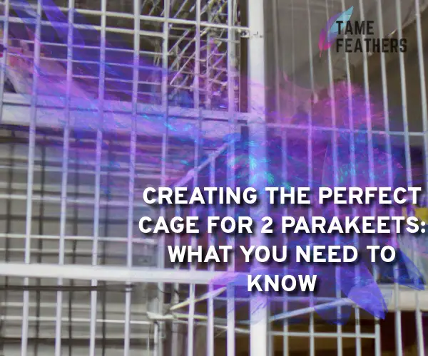 cage for 2 parakeets