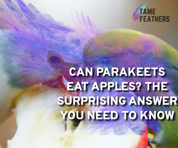 can parakeets eat apples