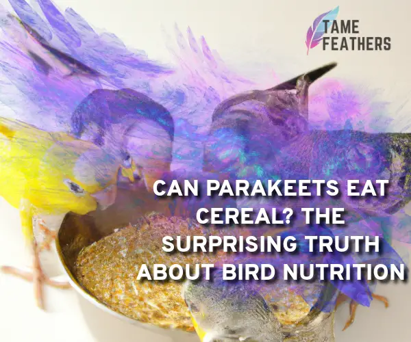 can parakeets eat cereal
