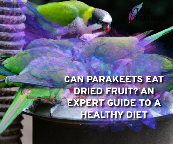 can parakeets eat dried fruit