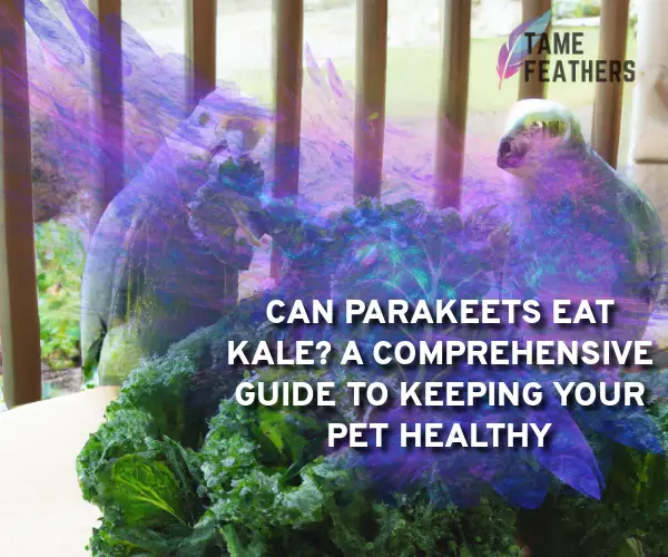 can parakeets eat kale