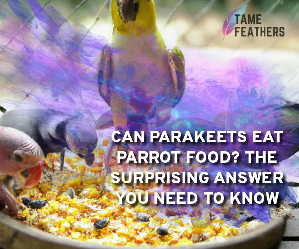 can parakeets eat parrot food