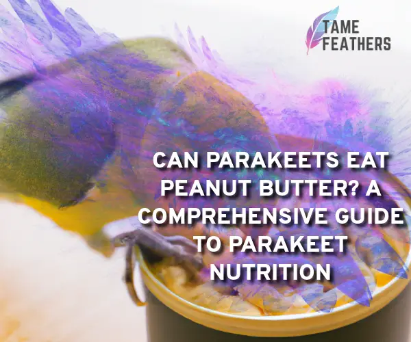 can parakeets eat peanut butter