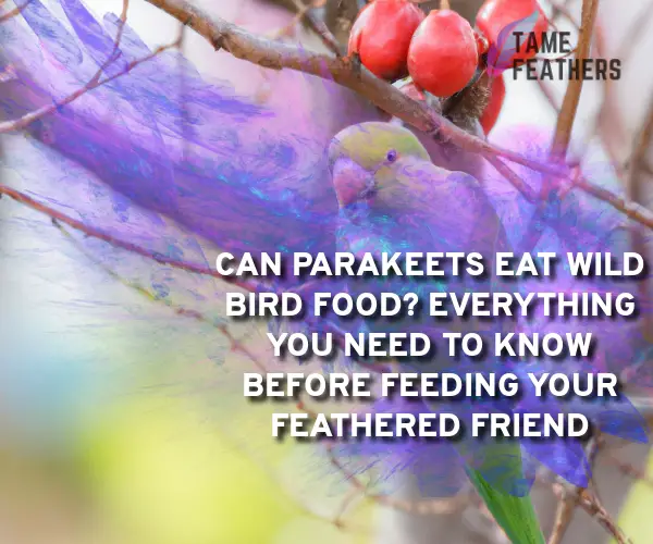 can parakeets eat wild bird food