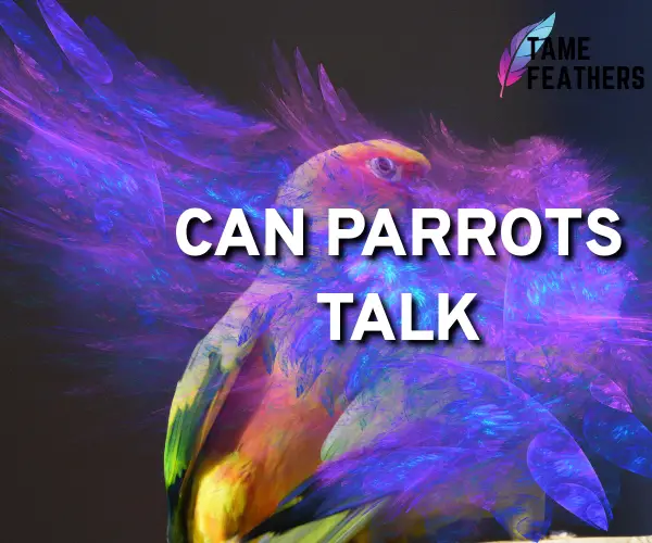 can parrots talk
