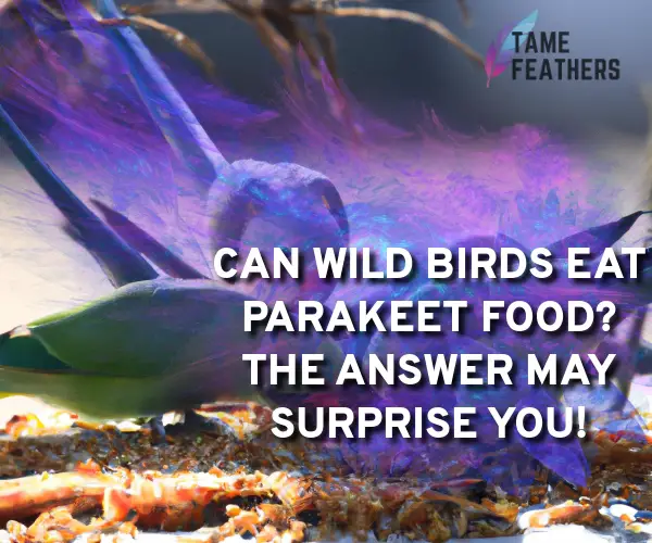 can wild birds eat parakeet food