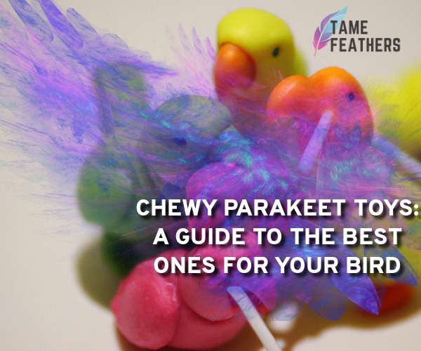 chewy parakeet toys