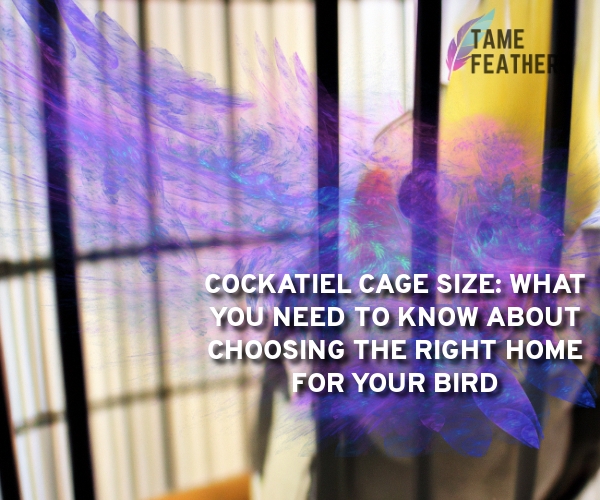 cockatiel cage size
