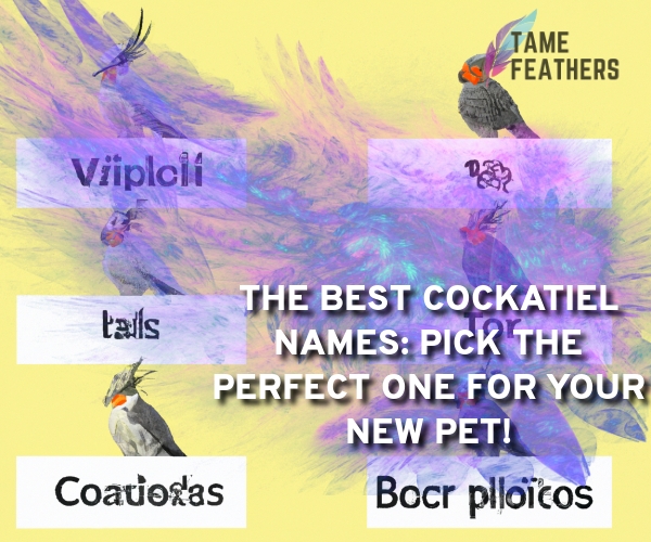 cockatiel names