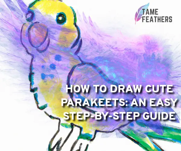 cute parakeet drawings