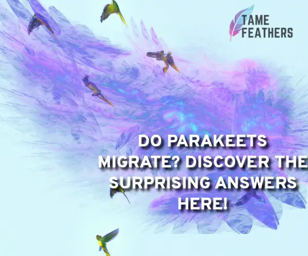 do parakeets migrate
