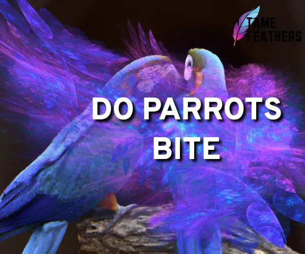 do parrots bite
