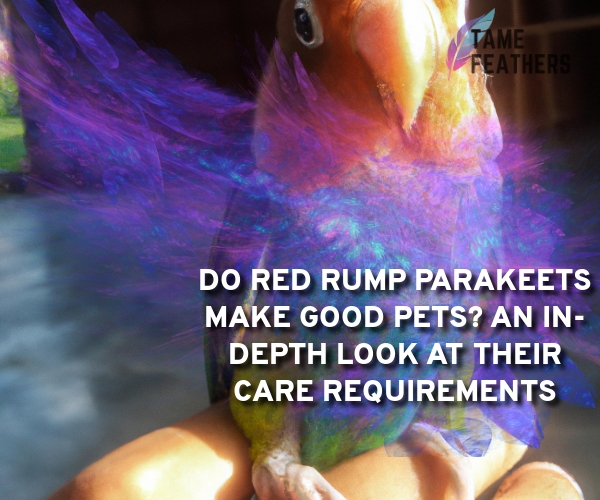 do red rump parakeets make good pets