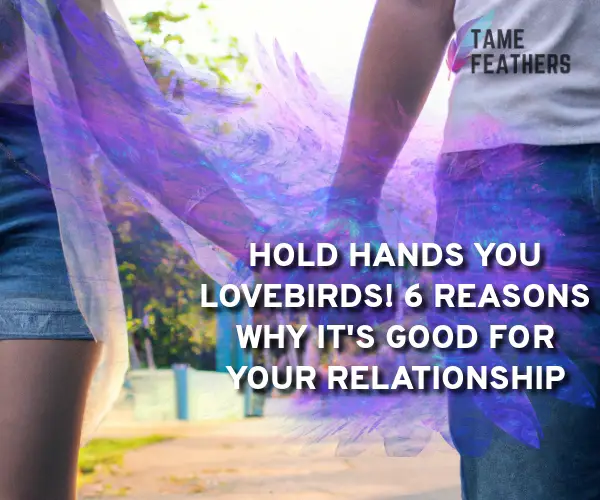 hold hands you lovebirds