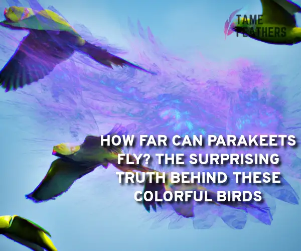 how far can parakeets fly