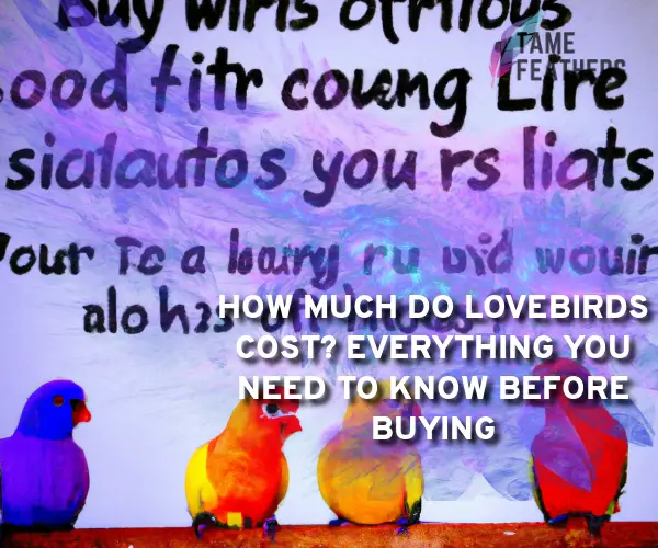 how much do lovebirds cost