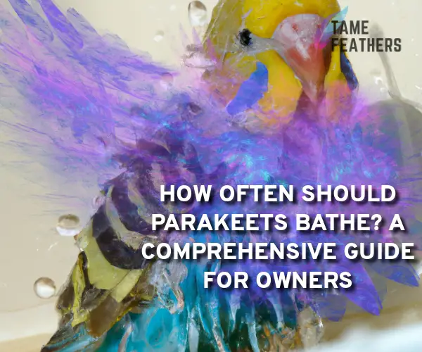 how often should parakeets bathe