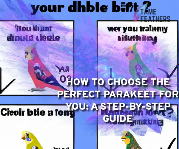how to choose a parakeet