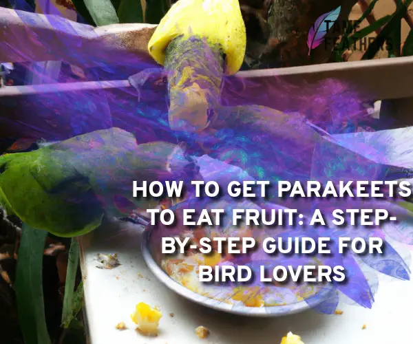 how to get parakeets to eat fruit