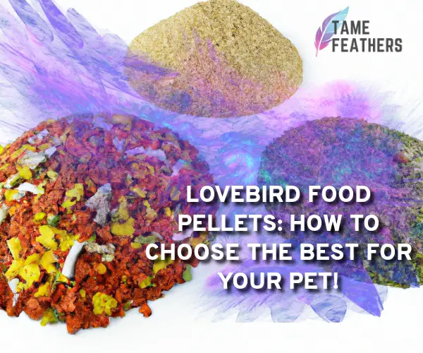 lovebird food pellets