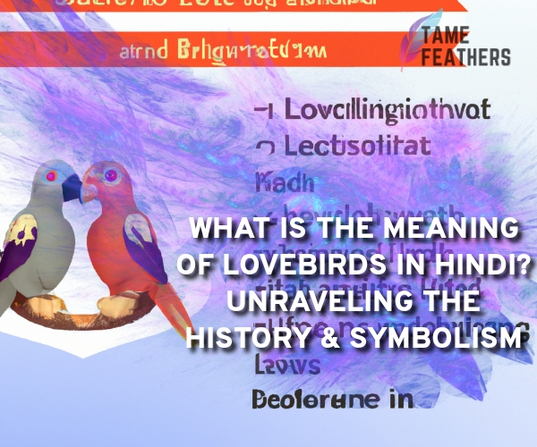What Is The Meaning Of Lovebirds In Hindi? Unraveling The History &  Symbolism - Tame Feathers