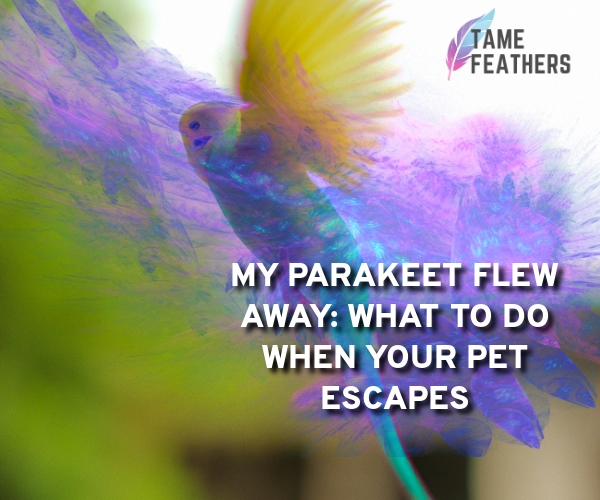 my parakeet flew away