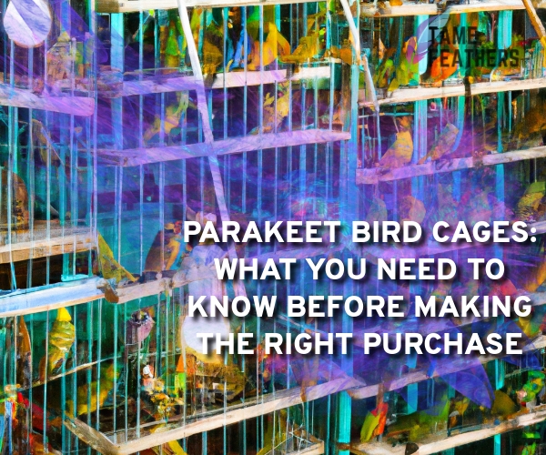 parakeet bird cages