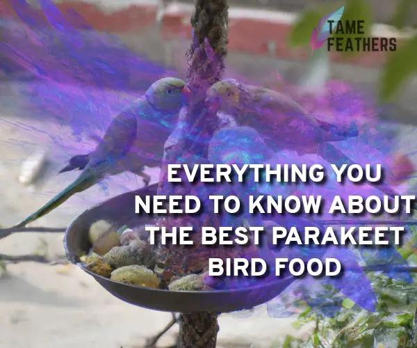 parakeet bird food