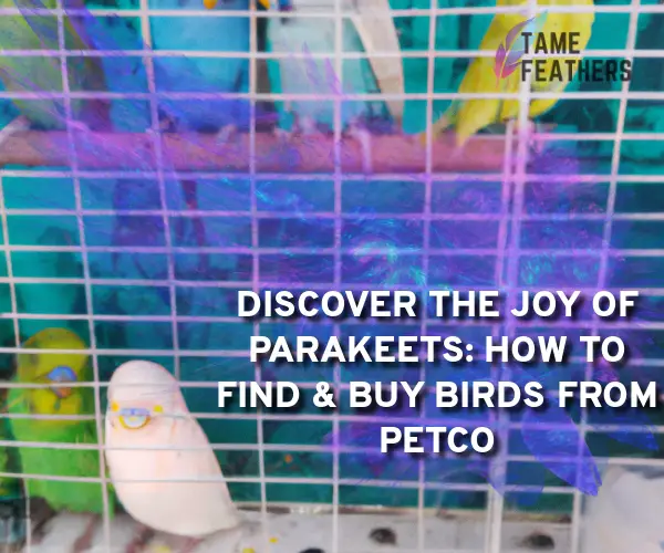 parakeet birds for sale petco