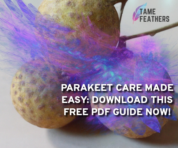 Parakeet Care Made Easy: Download This Free PDF Guide Now!