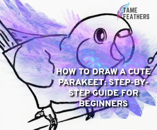 parakeet drawing cute