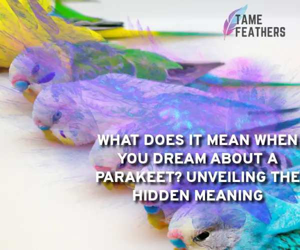 parakeet dream meaning