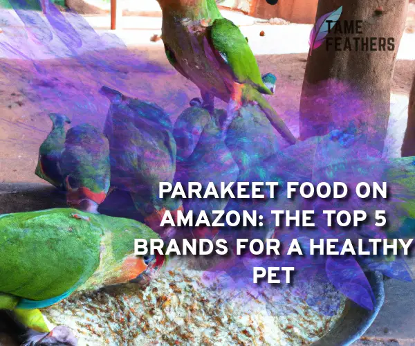 parakeet food amazon