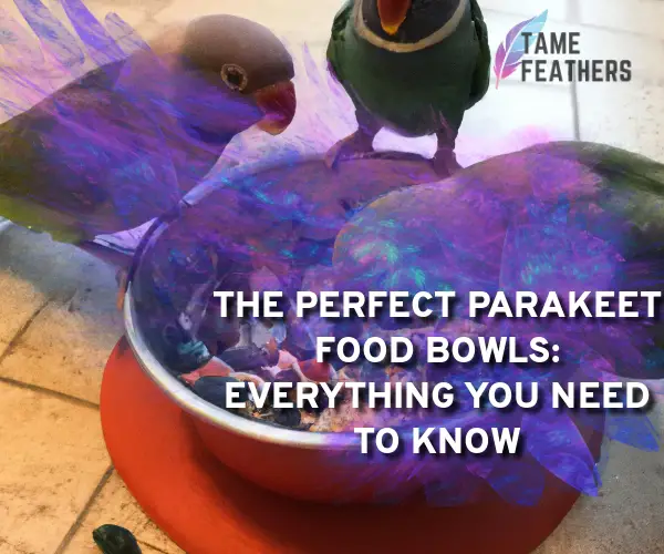 parakeet food bowls