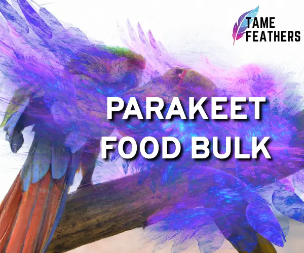 parakeet food bulk