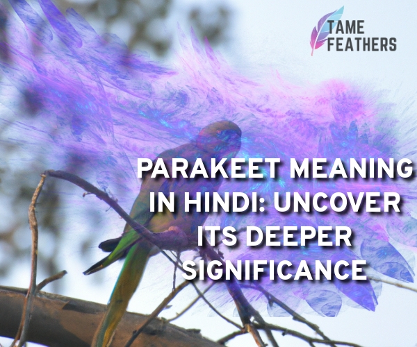 parakeet meaning in hindi