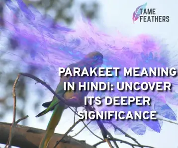 Parakeet Meaning In Hindi: Uncover Its Deeper Significance - Tame Feathers