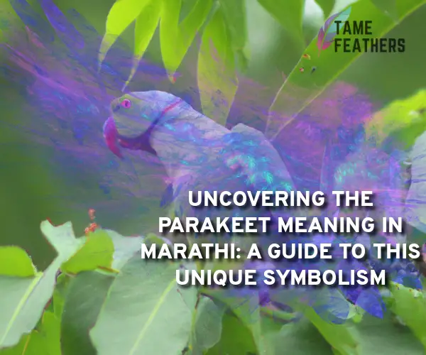 parakeet meaning in marathi