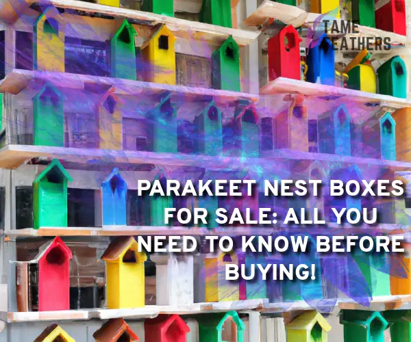 parakeet nest boxes for sale