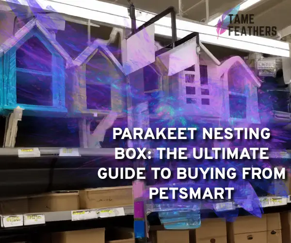 parakeet nesting box petsmart