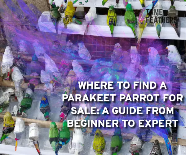 parakeet parrot for sale