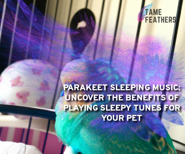 parakeet sleeping music